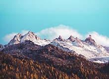 全运会网球赛场：老将圆梦 新秀涌现